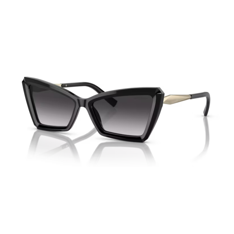 Sun Glasses TIFFANY & CO. 4203 80013C 56