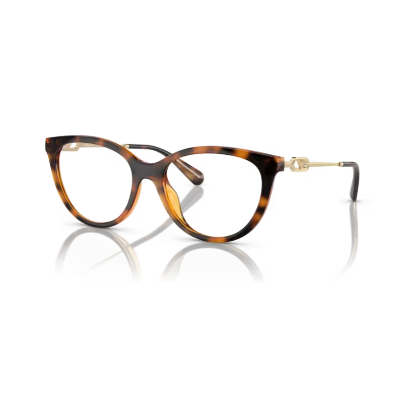 Sun Glasses EMPORIO ARMANI EA 4213 50261W 53
