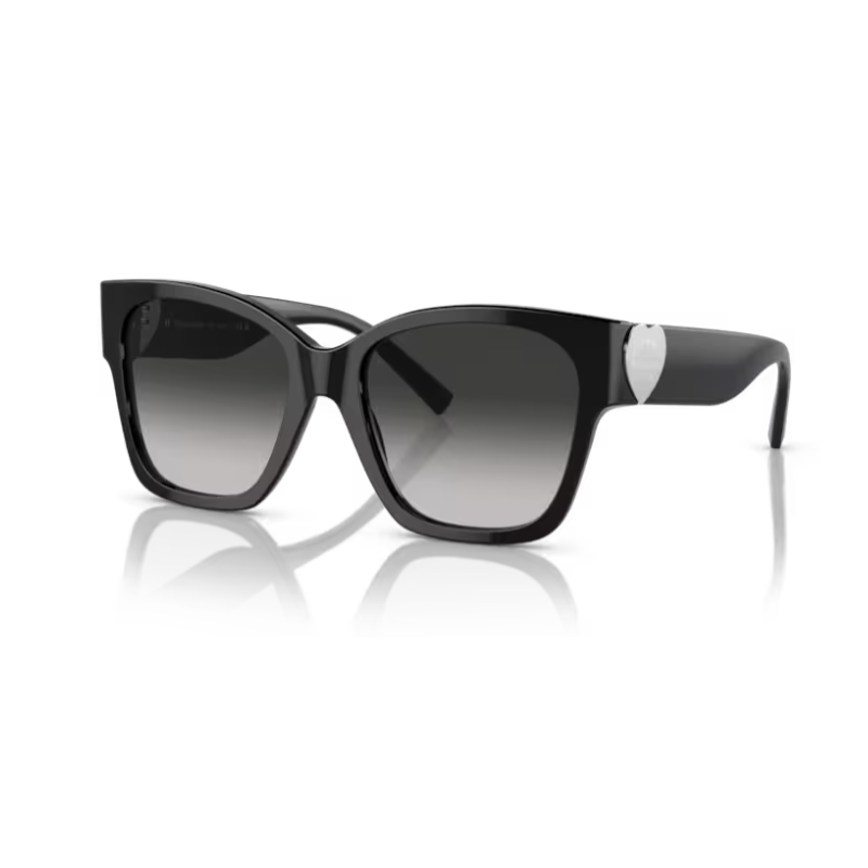 Sun Glasses TIFFANY & CO. 4216 B 8001 3C 54