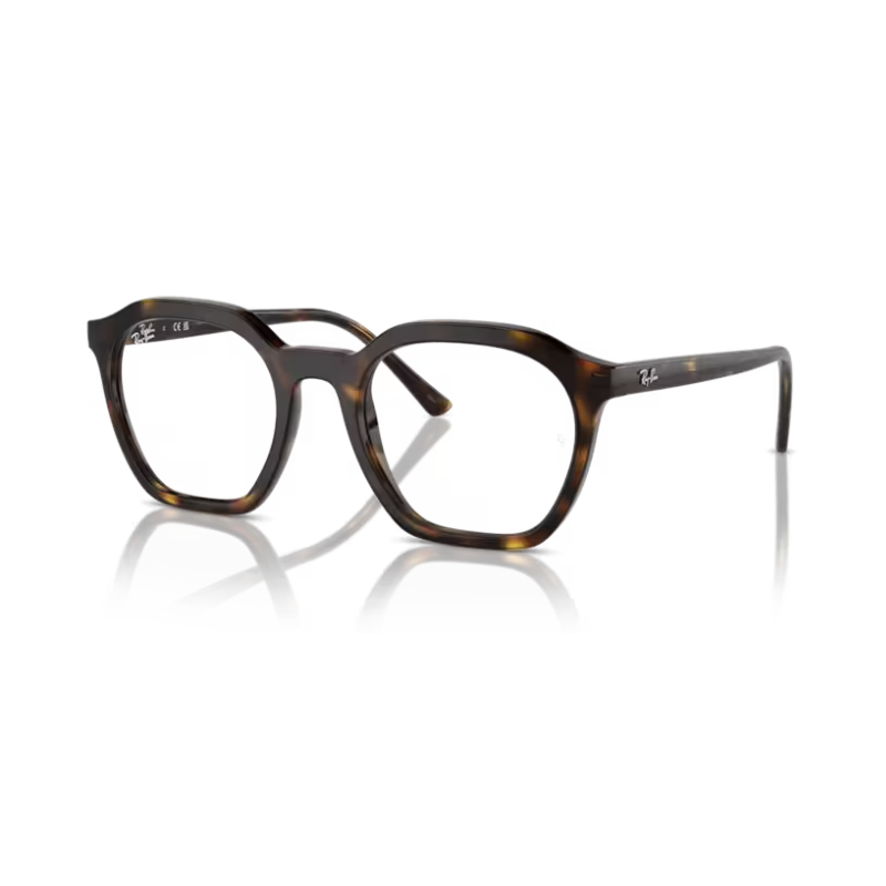Glasses RAY BAN ALICE RB 7238 2012 52