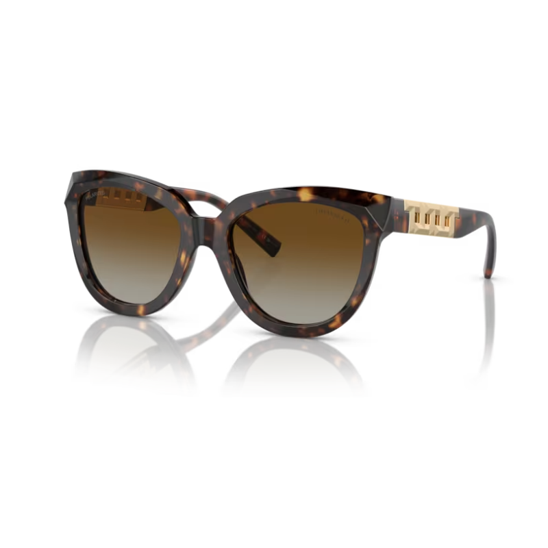 Sun Glasses TIFFANY & CO. 4215 8015 T5 53