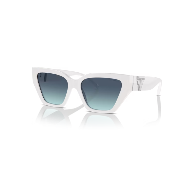 Sun Glasses TIFFANY & CO. 4218 8392 9S 55