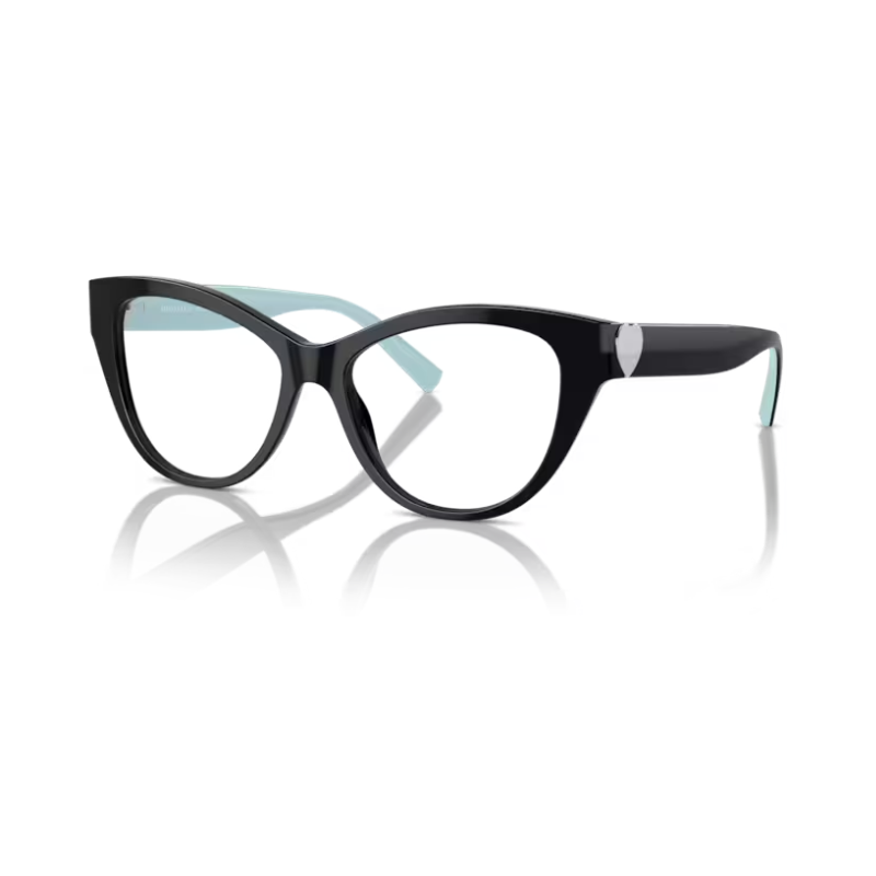 Glasses TIFFANY & CO. 2251 8406 53