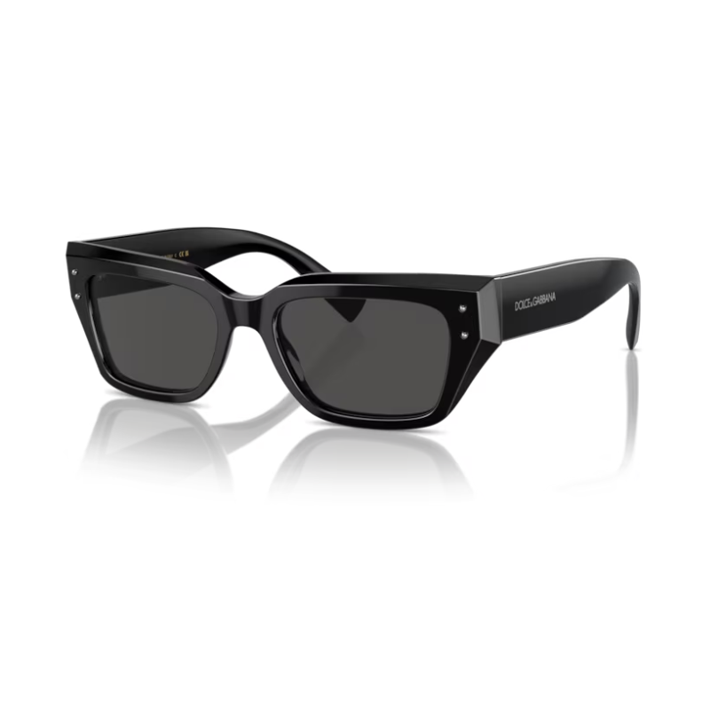 Sun Glasses DOLCE & GABBANA DG 4462 501 87 52