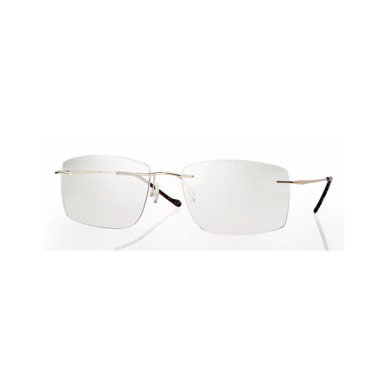 Glasses CENTROSTYLE F 0449 55 017