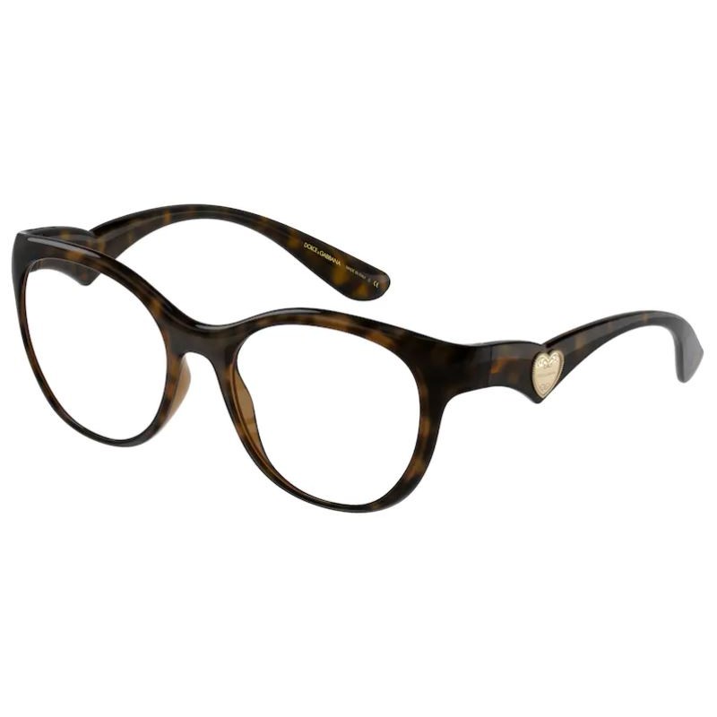 Glasses DOLCE & GABBANA DG 5069 502 53