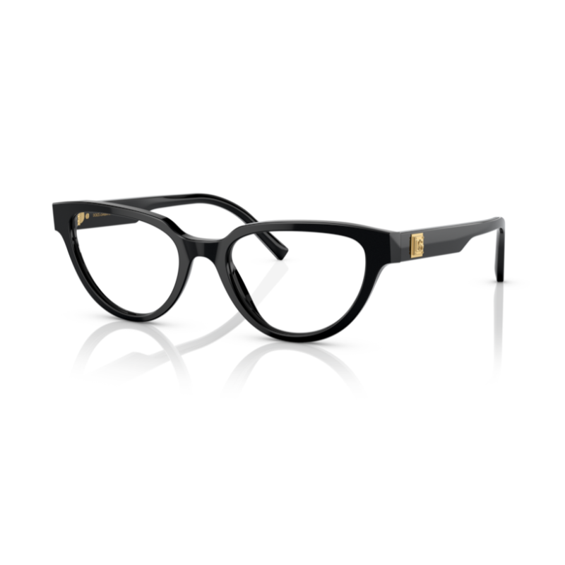 Glasses DOLCE & GABBANA DG 3358 501 53