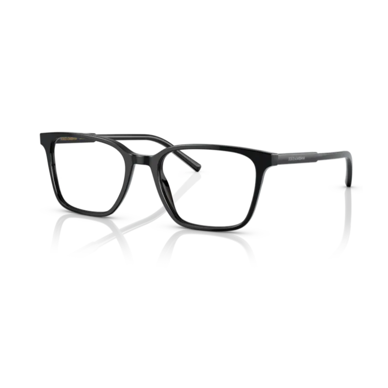Glasses DOLCE & GABBANA DG 3365 501 54