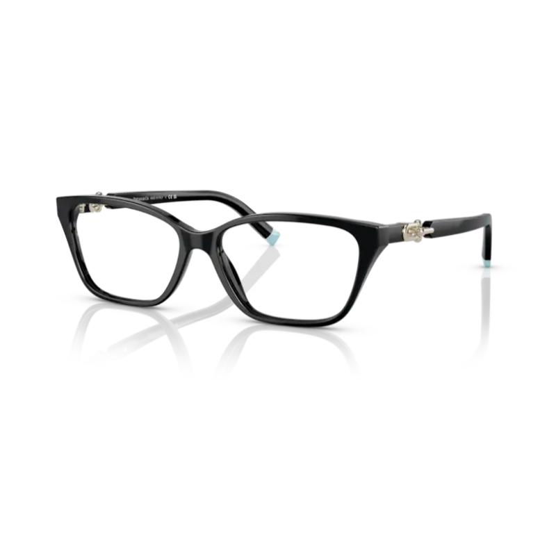 Glasses TIFFANY & CO. 2229 8001 55