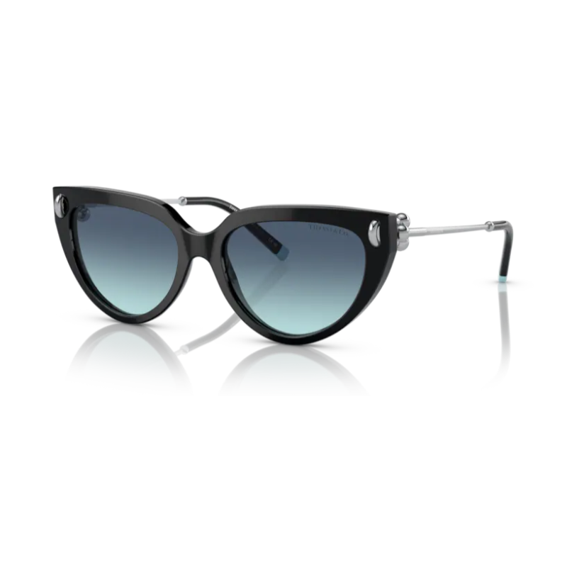 Sun Glasses TIFFANY & CO. 4195 8001 9S 54